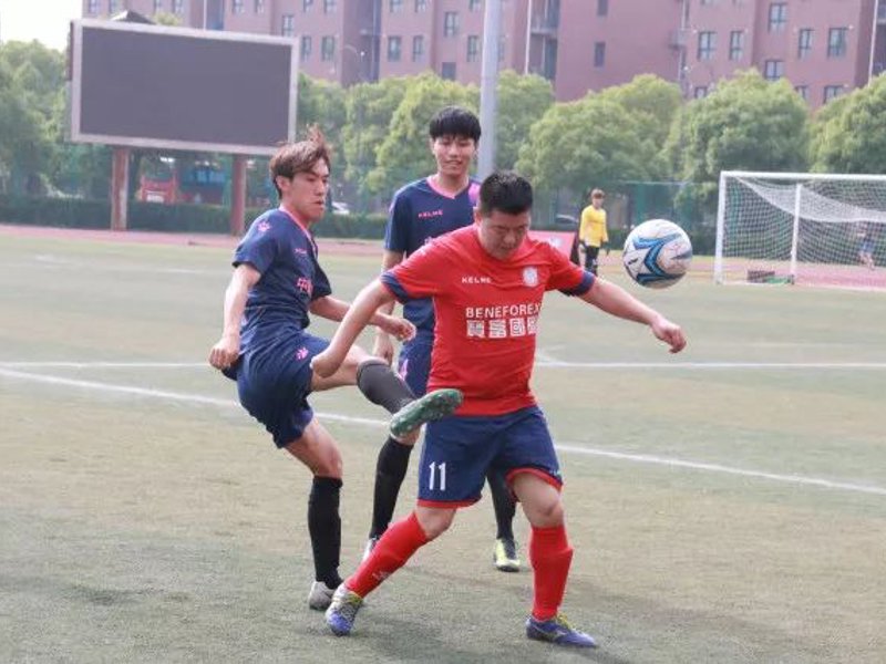 开云简介